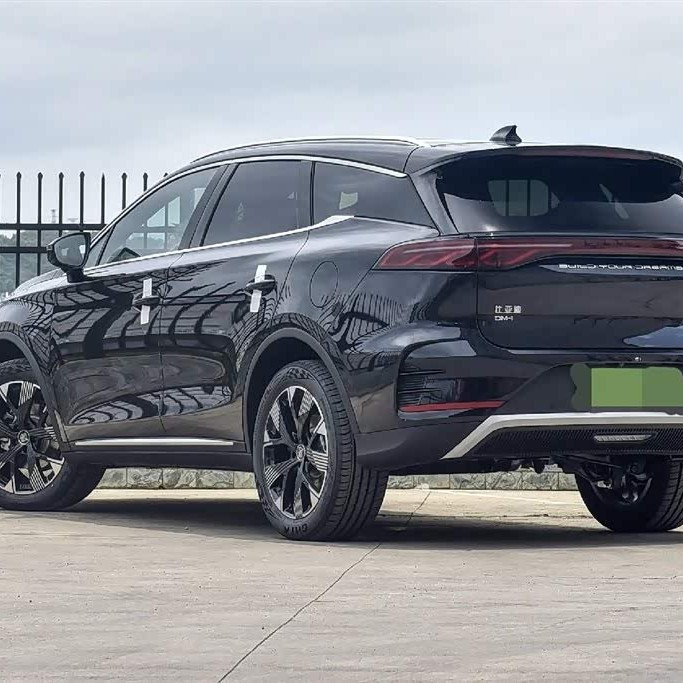 Tang New Energy 2024 DM-i Honor Edition 112KM Flagship Model Tang New Energy 2024 DM-i Honor Edition 112KM Flagship Model