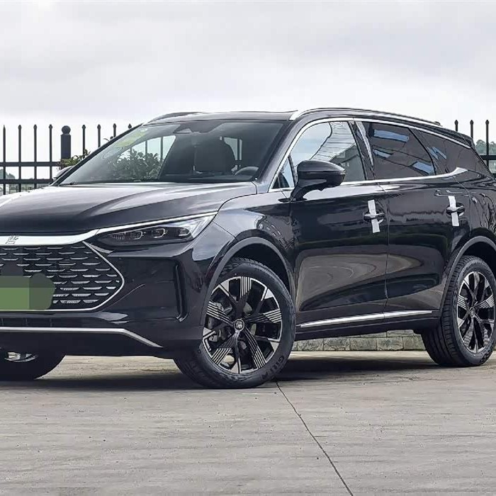 Tang New Energy 2024 DM-i Honor Edition 112KM Flagship Model Tang New Energy 2024 DM-i Honor Edition 112KM Flagship Model