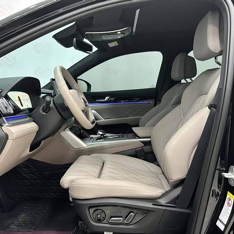 Tang New Energy 2024 DM-i Honor Edition 112KM Flagship Model Tang New Energy 2024 DM-i Honor Edition 112KM Flagship Model