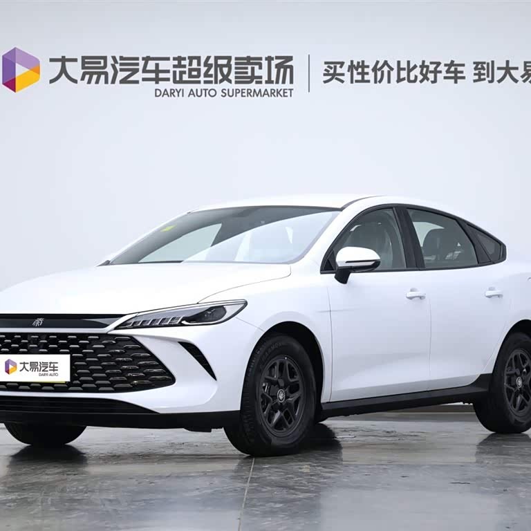 Qin PLUS 2025 DM-i Intelligent Driving Edition 55KM Leading Edition