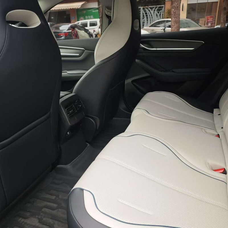 Destroyer 05 2024 Glory Edition DM-i 55KM Luxury Model Destroyer 05 2024 Glory Edition DM-i 55KM Luxury Model