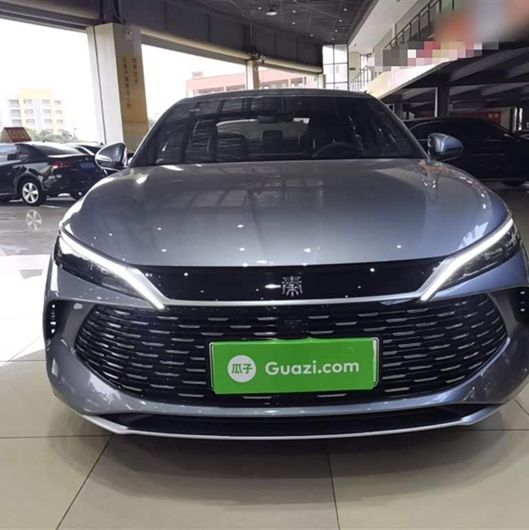 Qin L 2024 DM-i 80KM Beyond Edition Qin L 2024 DM-i 80KM Beyond Edition