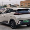 Seagull 2023 Vitality Edition Seagull 2023 Vitality Edition