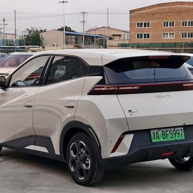 Seagull 2023 Vitality Edition Seagull 2023 Vitality Edition