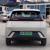 Seagull 2023 Vitality Edition Seagull 2023 Vitality Edition