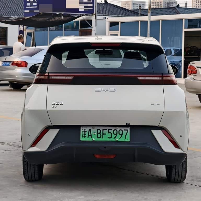 Seagull 2023 Vitality Edition Seagull 2023 Vitality Edition