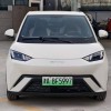 Seagull 2023 Vitality Edition Seagull 2023 Vitality Edition