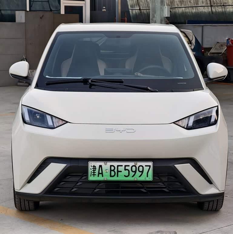 Seagull 2023 Vitality Edition Seagull 2023 Vitality Edition