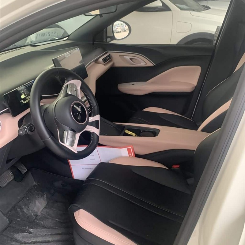 Seagull 2023 Vitality Edition Seagull 2023 Vitality Edition