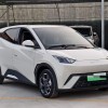 Seagull 2023 Vitality Edition Seagull 2023 Vitality Edition