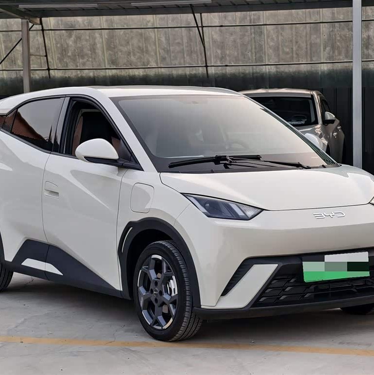 Seagull 2023 Vitality Edition Seagull 2023 Vitality Edition