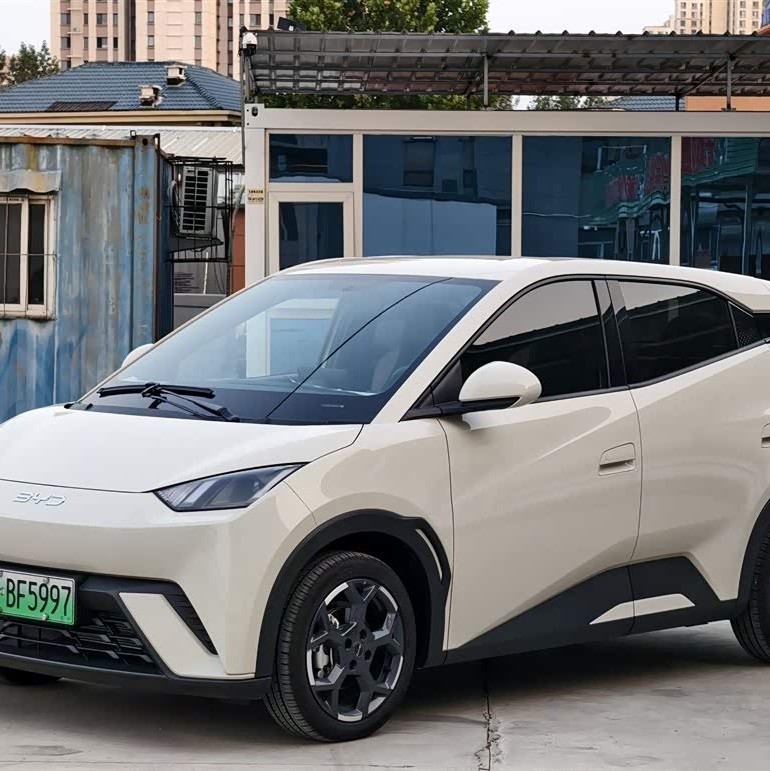 Seagull 2023 Vitality Edition Seagull 2023 Vitality Edition