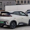 Seagull 2023 Vitality Edition Seagull 2023 Vitality Edition