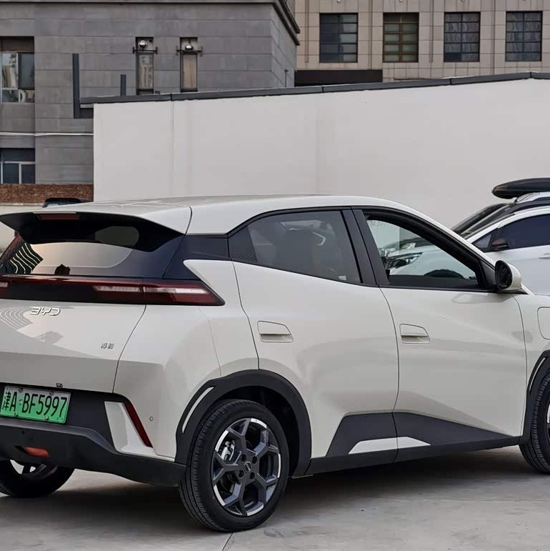 Seagull 2023 Vitality Edition Seagull 2023 Vitality Edition