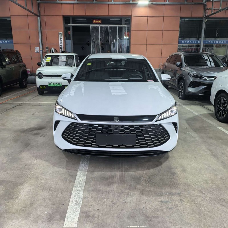 Qin PLUS 2025 DM-i Intelligent Driving Edition 55KM Leading Edition