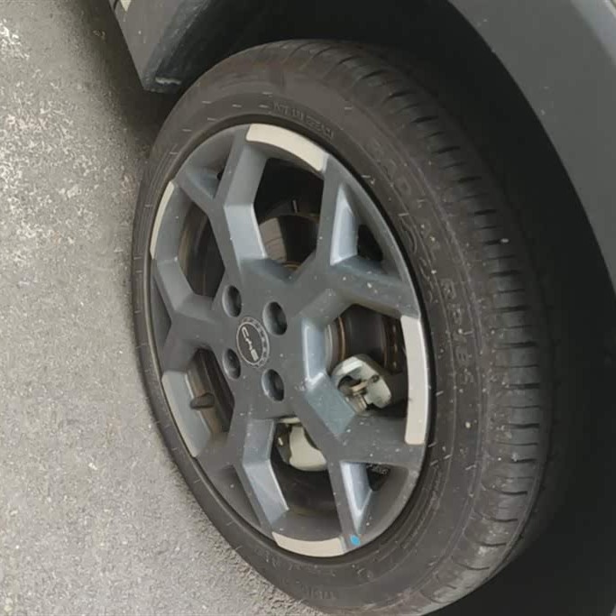 Seagull 2025 305km Freedom Edition Seagull 2025 305km Freedom Edition