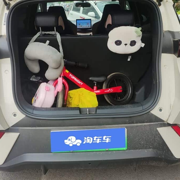 Seagull 2025 305km Freedom Edition Seagull 2025 305km Freedom Edition