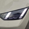 Seagull 2025 305km Freedom Edition