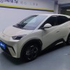 Seagull 2025 305km Freedom Edition