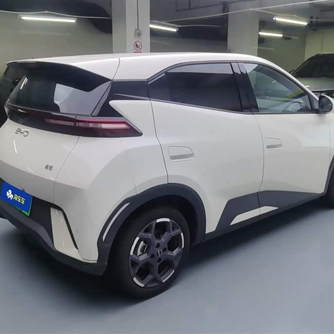 Seagull 2025 305km Freedom Edition Seagull 2025 305km Freedom Edition