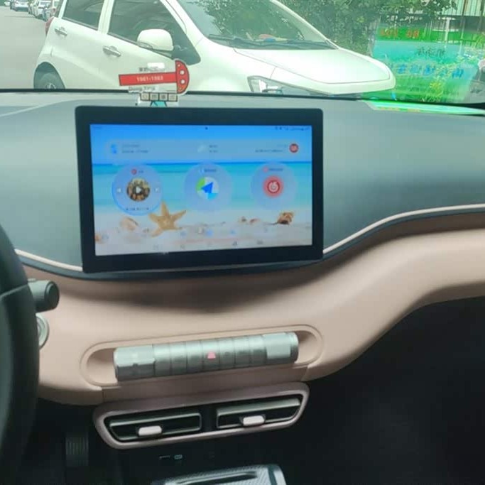 Seagull 2025 305km Freedom Edition Seagull 2025 305km Freedom Edition