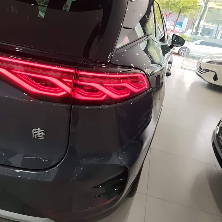 Tang New Energy 2025 DM-i 115KM Premium Edition Tang New Energy 2025 DM-i 115KM Premium Edition