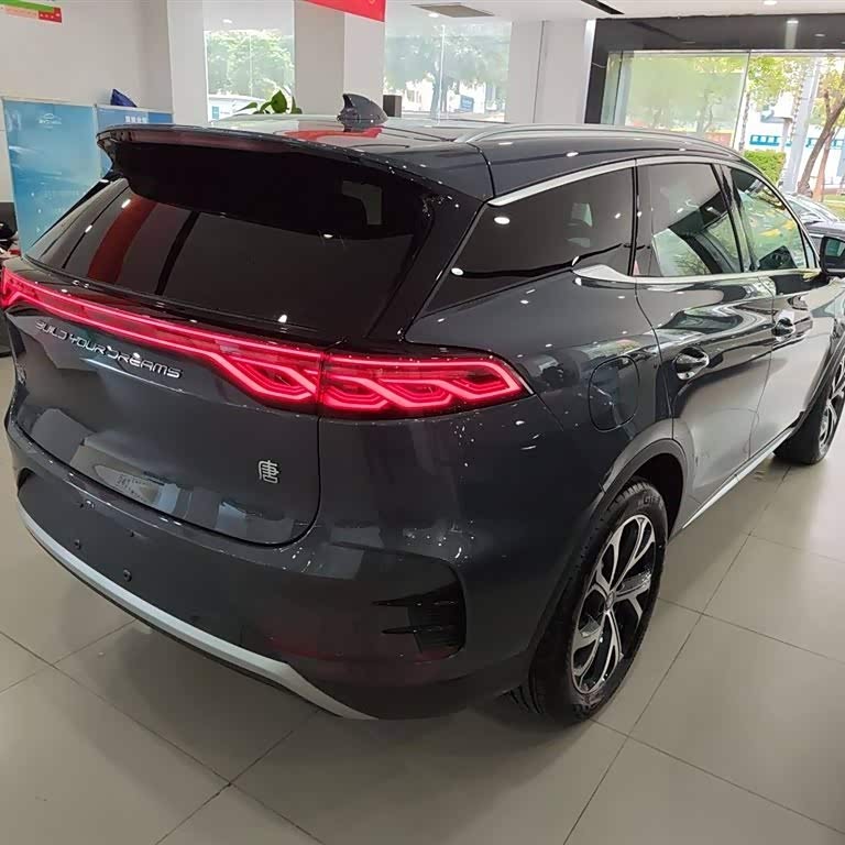 Tang New Energy 2025 DM-i 115KM Premium Edition Tang New Energy 2025 DM-i 115KM Premium Edition