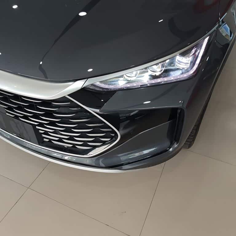 Tang New Energy 2025 DM-i 115KM Premium Edition Tang New Energy 2025 DM-i 115KM Premium Edition