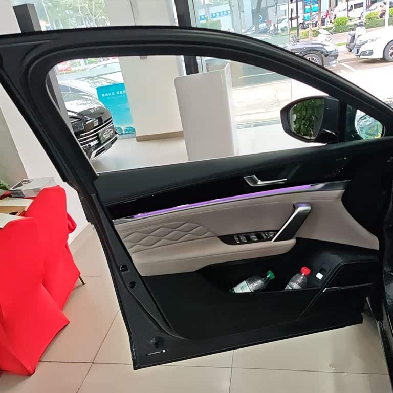 Tang New Energy 2025 DM-i 115KM Premium Edition Tang New Energy 2025 DM-i 115KM Premium Edition
