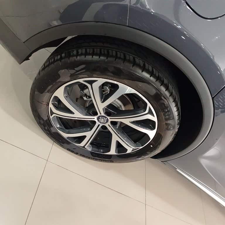 Tang New Energy 2025 DM-i 115KM Premium Edition Tang New Energy 2025 DM-i 115KM Premium Edition