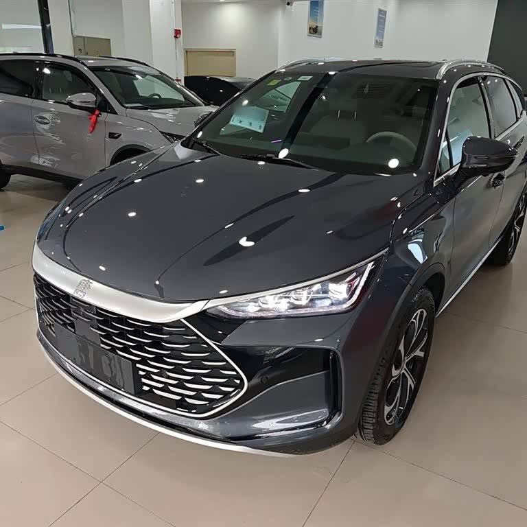 Tang New Energy 2025 DM-i 115KM Premium Edition Tang New Energy 2025 DM-i 115KM Premium Edition