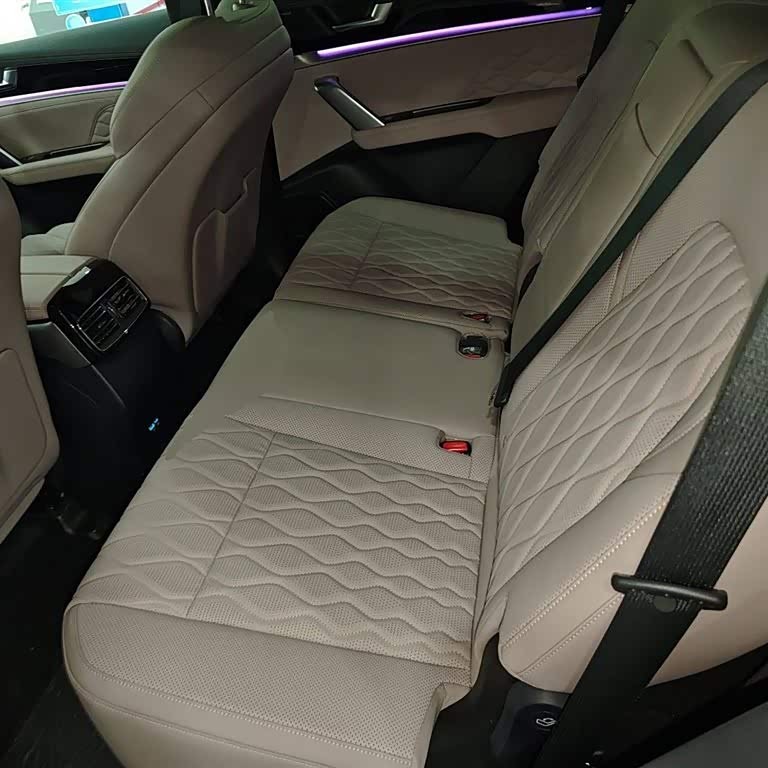 Tang New Energy 2025 DM-i 115KM Premium Edition Tang New Energy 2025 DM-i 115KM Premium Edition