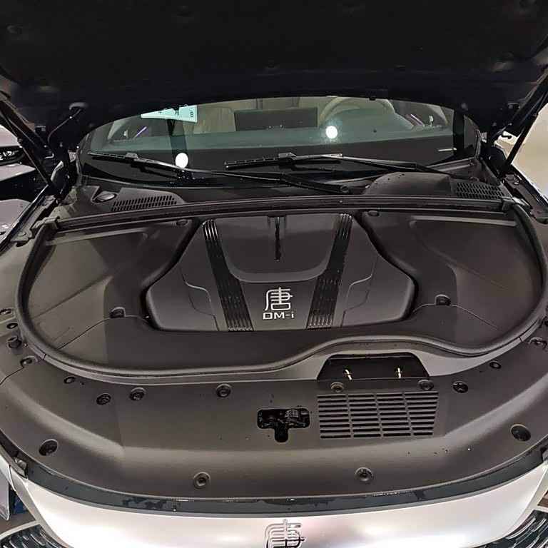 Tang New Energy 2025 DM-i 115KM Premium Edition Tang New Energy 2025 DM-i 115KM Premium Edition