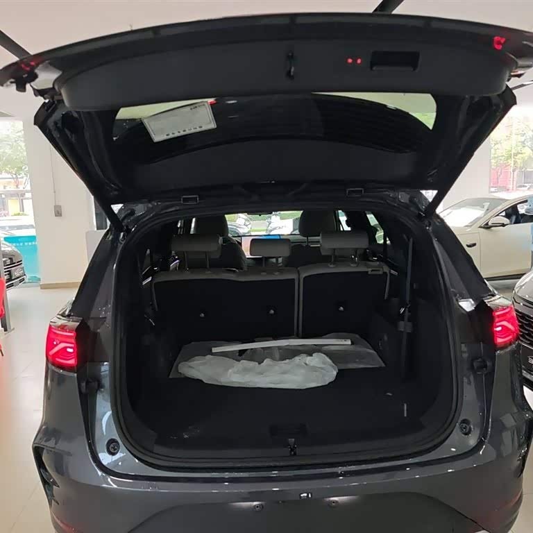 Tang New Energy 2025 DM-i 115KM Premium Edition Tang New Energy 2025 DM-i 115KM Premium Edition