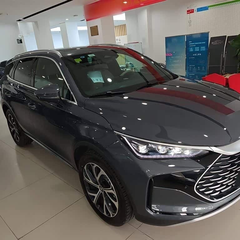 Tang New Energy 2025 DM-i 115KM Premium Edition Tang New Energy 2025 DM-i 115KM Premium Edition