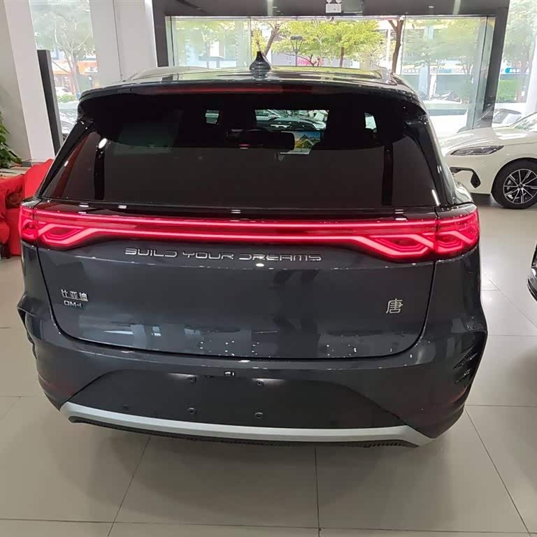 Tang New Energy 2025 DM-i 115KM Premium Edition Tang New Energy 2025 DM-i 115KM Premium Edition