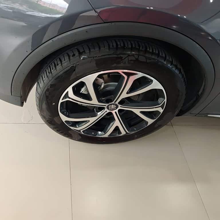Tang New Energy 2025 DM-i 115KM Premium Edition Tang New Energy 2025 DM-i 115KM Premium Edition