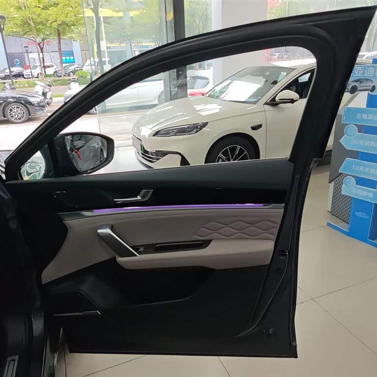 Tang New Energy 2025 DM-i 115KM Premium Edition Tang New Energy 2025 DM-i 115KM Premium Edition