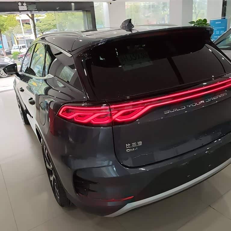 Tang New Energy 2025 DM-i 115KM Premium Edition Tang New Energy 2025 DM-i 115KM Premium Edition