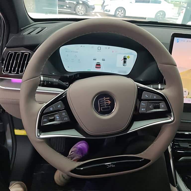 Tang New Energy 2025 DM-i 115KM Premium Edition Tang New Energy 2025 DM-i 115KM Premium Edition