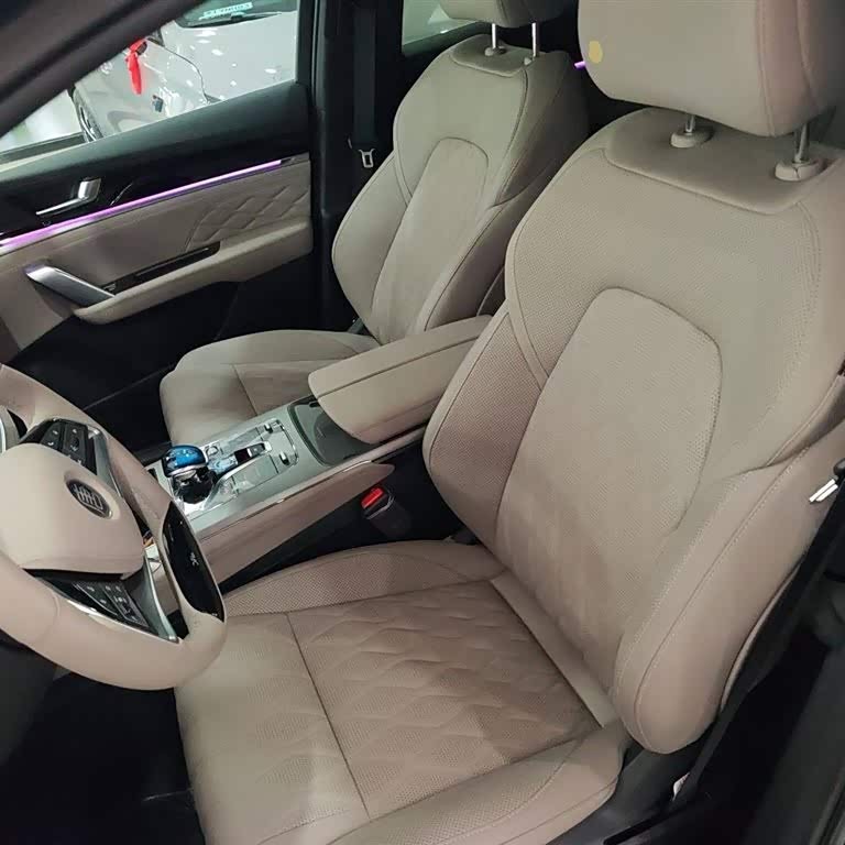 Tang New Energy 2025 DM-i 115KM Premium Edition Tang New Energy 2025 DM-i 115KM Premium Edition