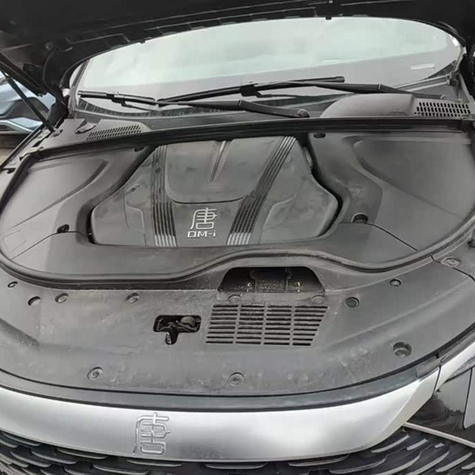 Tang New Energy 2024 DM-i Honor Edition 112KM Flagship Model Tang New Energy 2024 DM-i Honor Edition 112KM Flagship Model