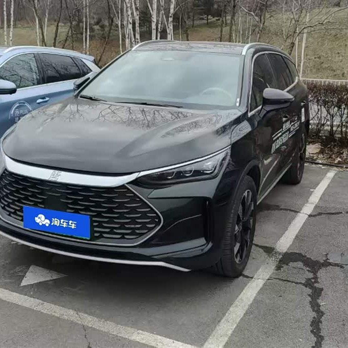 Tang New Energy 2024 DM-i Honor Edition 112KM Flagship Model Tang New Energy 2024 DM-i Honor Edition 112KM Flagship Model