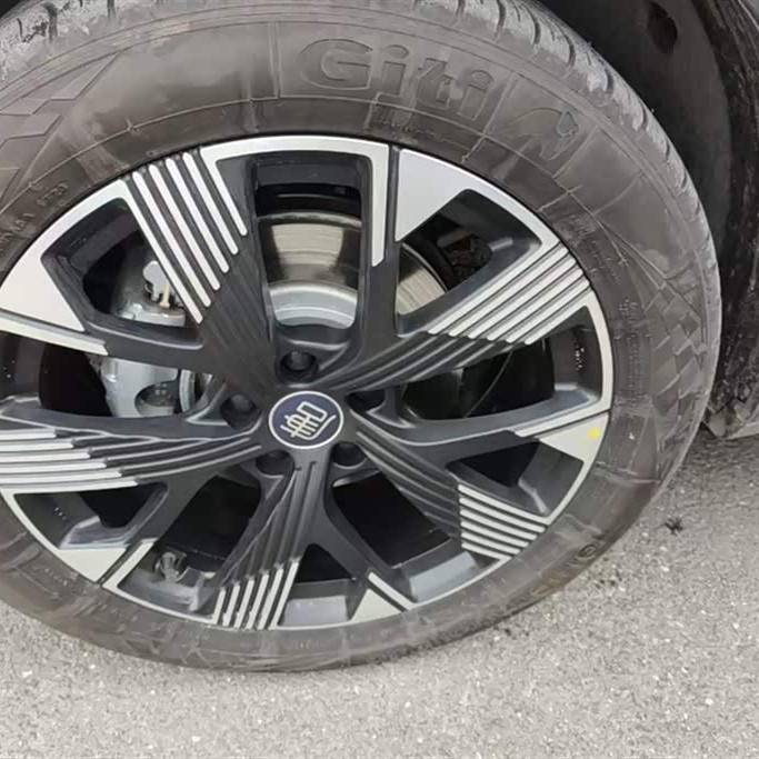 Tang New Energy 2024 DM-i Honor Edition 112KM Flagship Model Tang New Energy 2024 DM-i Honor Edition 112KM Flagship Model