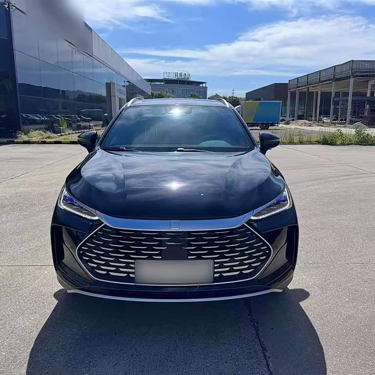Tang New Energy 2025 DM-i 115KM Premium Edition Tang New Energy 2025 DM-i 115KM Premium Edition