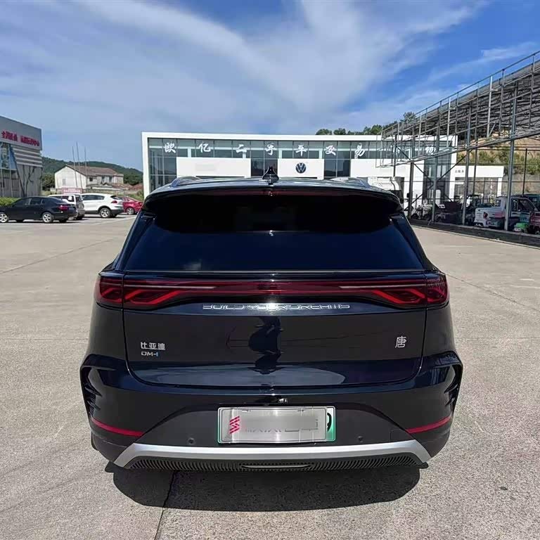Tang New Energy 2025 DM-i 115KM Premium Edition Tang New Energy 2025 DM-i 115KM Premium Edition