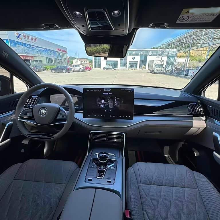 Tang New Energy 2025 DM-i 115KM Premium Edition Tang New Energy 2025 DM-i 115KM Premium Edition