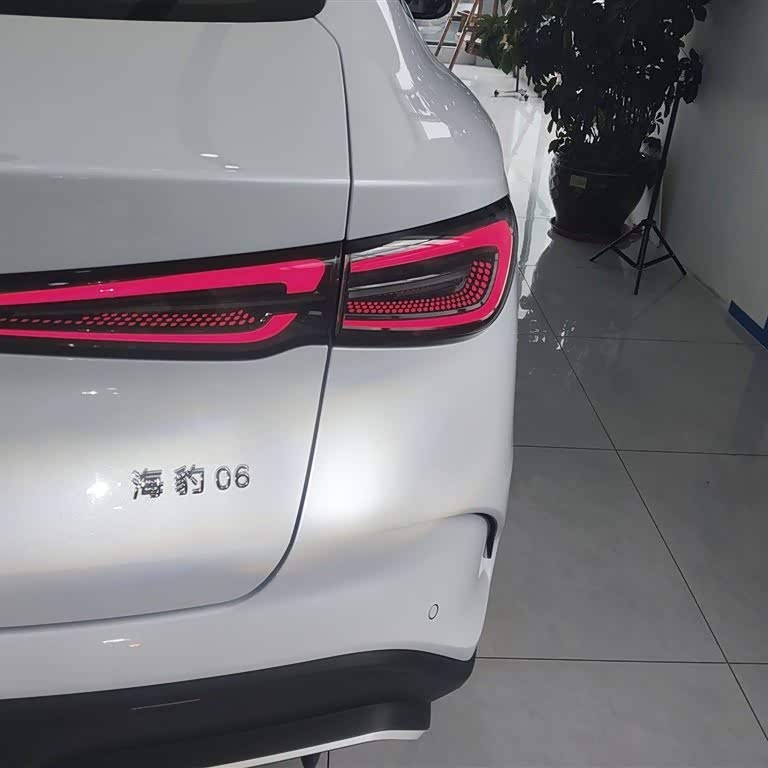 Haibao 06 New Energy 2024 DM-i 120KM Flagship Model Haibao 06 New Energy 2024 DM-i 120KM Flagship Model