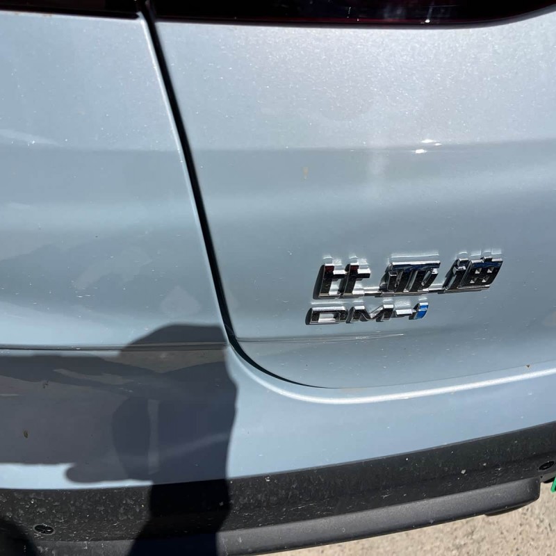 Qin L 2024 DM-i 80KM Leading Edition Qin L 2024 DM-i 80KM Leading Edition