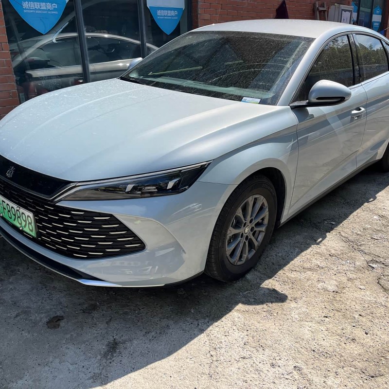 Qin L 2024 DM-i 80KM Leading Edition